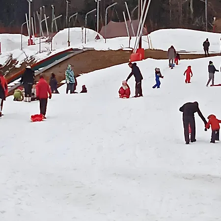 Moderne A 30 M² Avec Vue Montagne * Cornimont